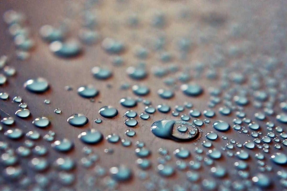 水珠覆盖的叶片